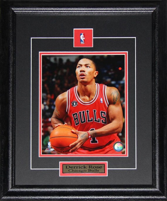 derrick rose chicago bulls forma