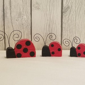 Summer Standing Lovely Ladybug Trio