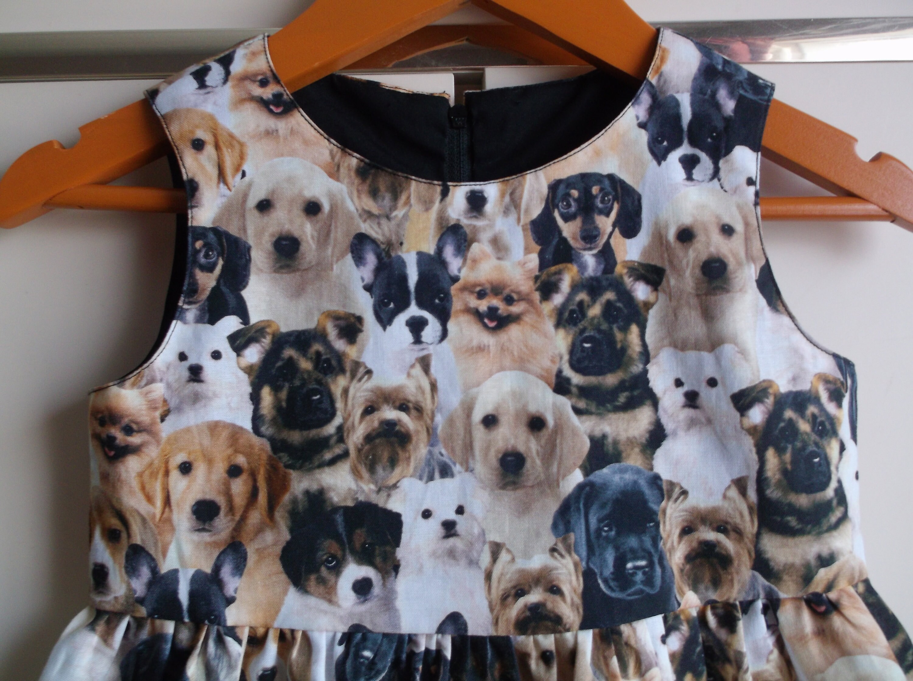Dolce and clearance gabbana puppy dress