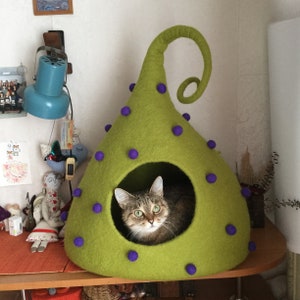 May include: A green felt cat bed shaped like a house with a purple dot pattern and a curled opening. A cat is inside the bed looking out.