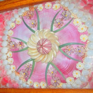 Sailor&#39;s Valentine by Crazy Seahorse Collectibles