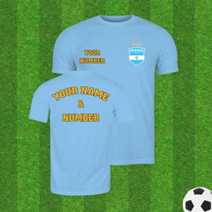 Personalized Argentina National Team Soccer Jersey, Football Flag in Shield with Your Name and Number Tee, Custom Adult or Kids T-Shirt