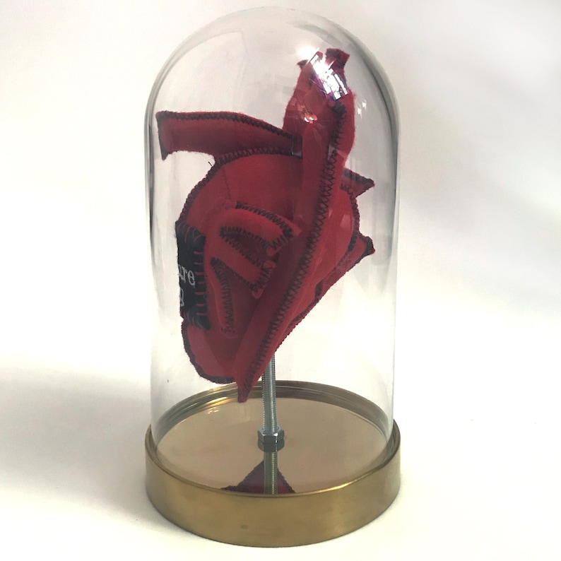 Anatomical Human Heart in a Bell Jar. Lots of wording options Alternative Sarcastic Love Token. Faux Taxidermy, Quirky Gifts, Weird Stuff image 3