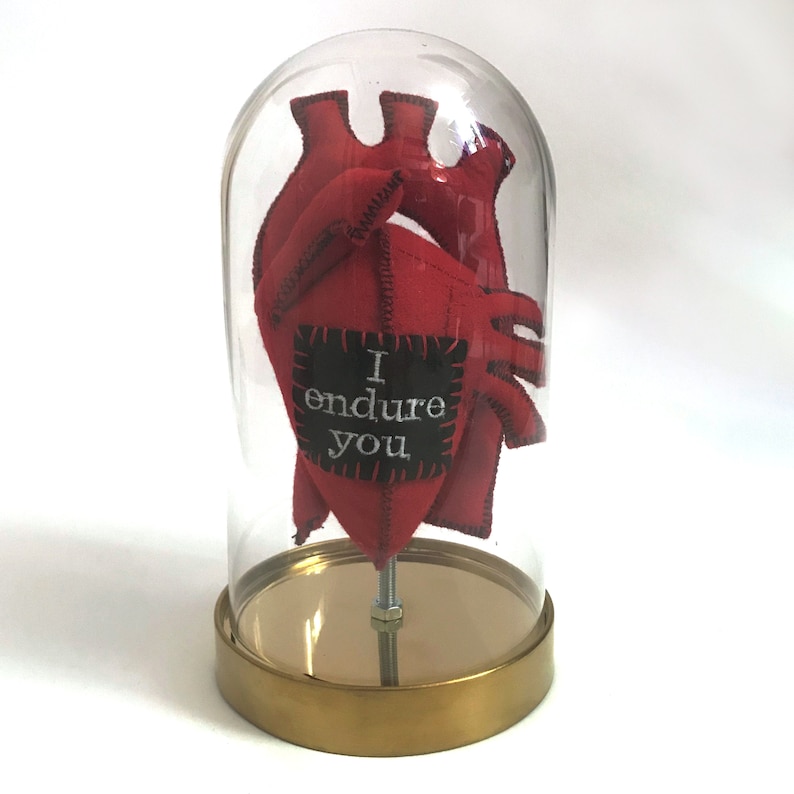 Anatomical Human Heart in a Bell Jar. Lots of wording options Alternative Sarcastic Love Token. Faux Taxidermy, Quirky Gifts, Weird Stuff image 2