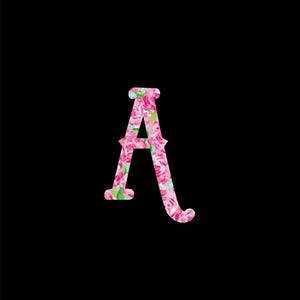 Single Initial Monogram Decal ~ Preppy Prints ~ Choose your letter, choose your style!!