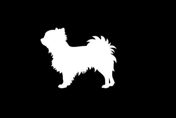 Long Hair Chihuahua Decal In Many Colors And Sizes Chihuahua Etsy