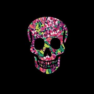 May include: A black skull with a pink, green, and white floral pattern.