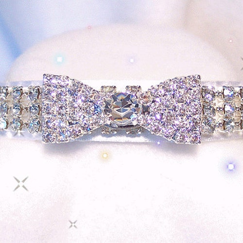 labrador retriever price in usa