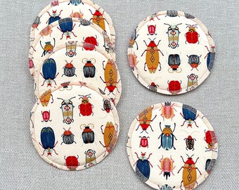 カブトムシコースター