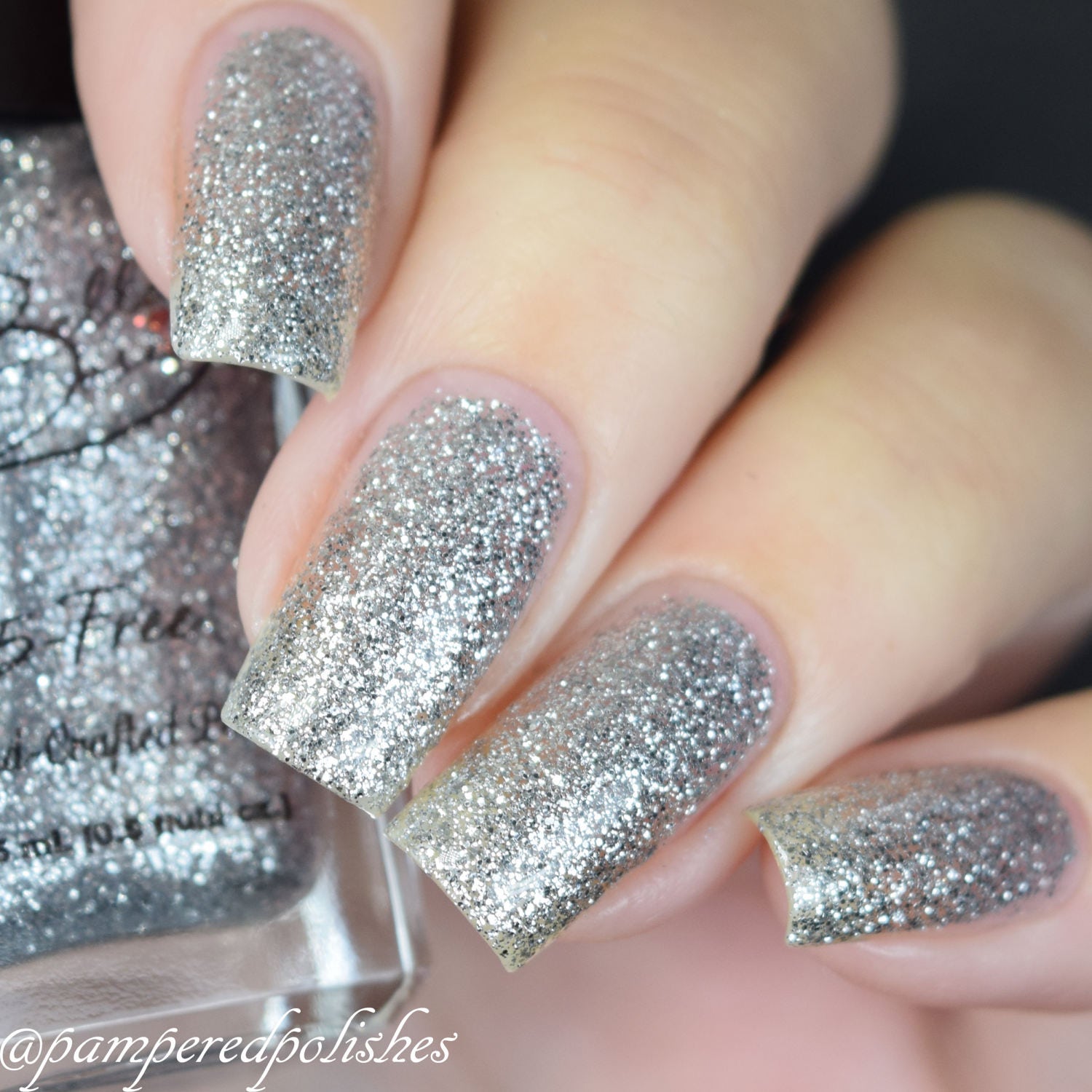 True Silver Silver Glitter Nail Polish Full Size 15ml Bottle. Etsy