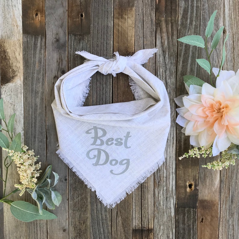 Best Dog Wedding Bandana Wedding Announcement Dog Bandana Etsy
