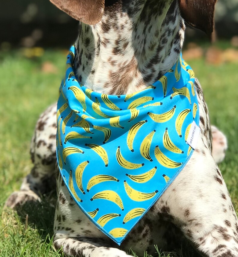 Spring Summer Dog Bandana Dog Collar Dog Clothes New Puppy Dog Gift Fruit Dog Bandana Dog Scarf Banana Dog Bandana