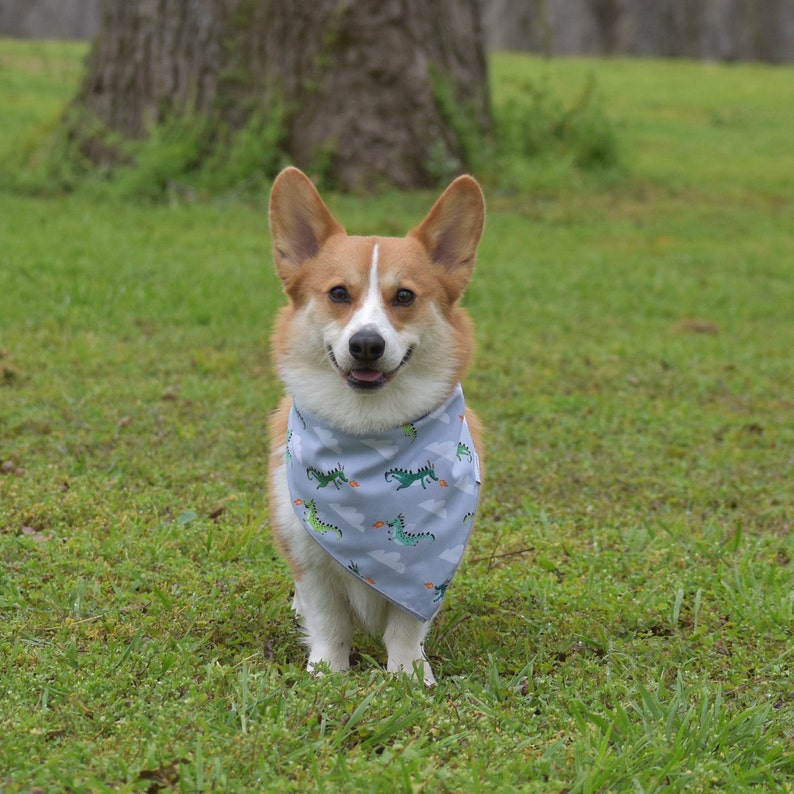 Dragon Dog Bandana Flying Dragons Dog Bandana Dog Clothes Dog Scarf Dog Collar Spring Summer Dog Bandana New Puppy Dog Gift