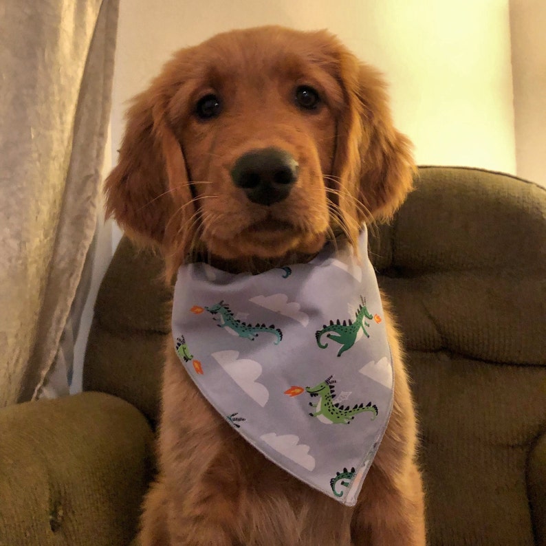 Dragon Dog Bandana Flying Dragons Dog Bandana Dog Clothes Dog Scarf Dog Collar Spring Summer Dog Bandana New Puppy Dog Gift