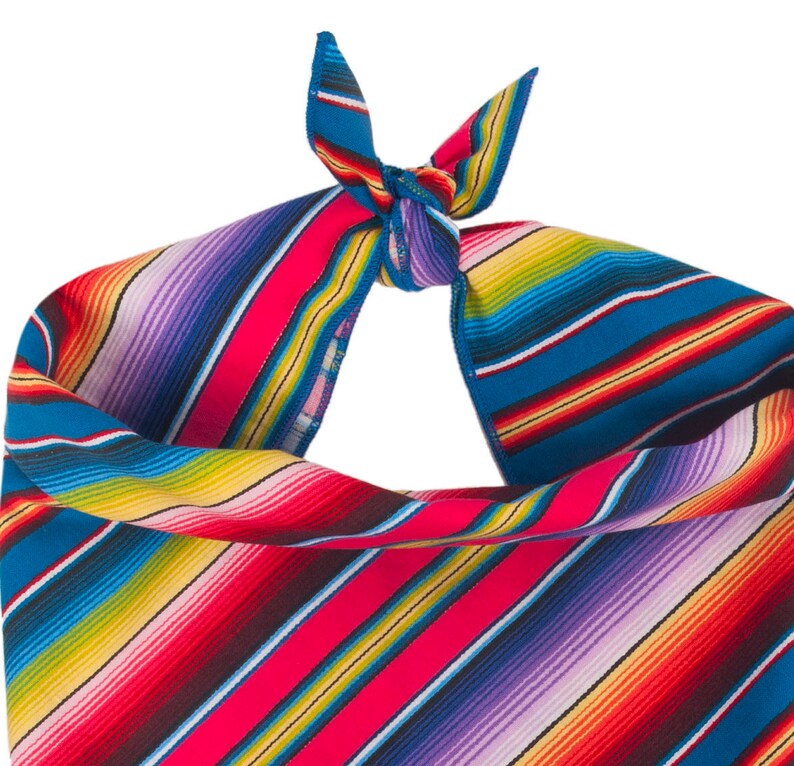Dog Gift Serape Stripe Dog Bandana Personalized Personalized Dog Bandana Monogram Dog Bandana Bandana with Dog Name Mexican Blanket