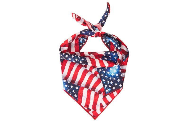 Patriotic Dog Bandana American Flag Dog Bandana Red White and Blue Dog Bandana Stars and Stripes Dog Bandana 4th of July Dog Bandana