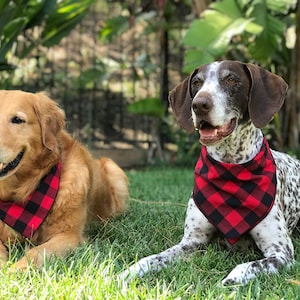 Red and Black Buffalo Plaid Dog Bandana, Red and Black Checked Pet Scarf, Dog Clothes, Gift New Puppy, Dog Mom Gift, Christmas Gift for Dog image 3