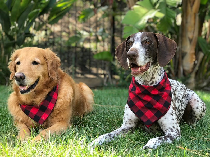 Red and Black Buffalo Plaid Dog Bandana, Red and Black Checked Pet Scarf, Dog Clothes, Gift New Puppy, Dog Mom Gift, Christmas Gift for Dog image 3
