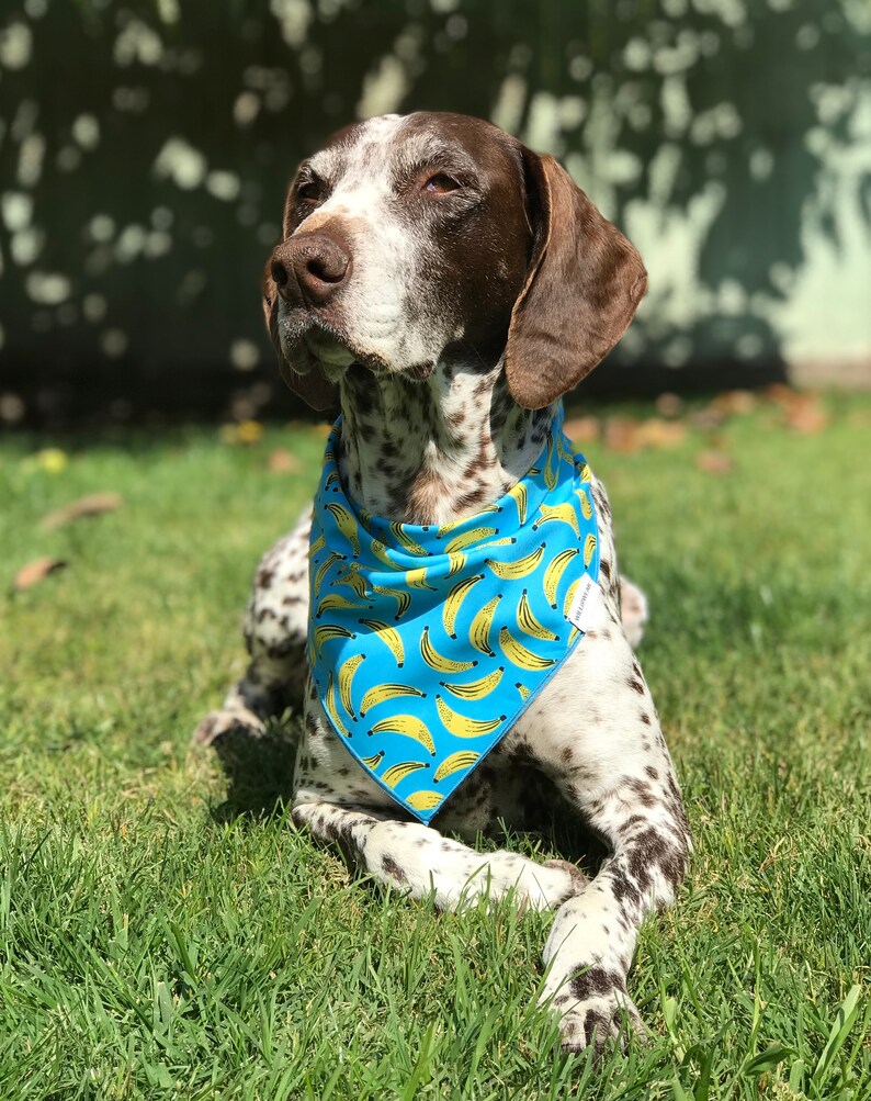 Spring Summer Dog Bandana Dog Collar Dog Clothes New Puppy Dog Gift Fruit Dog Bandana Dog Scarf Banana Dog Bandana