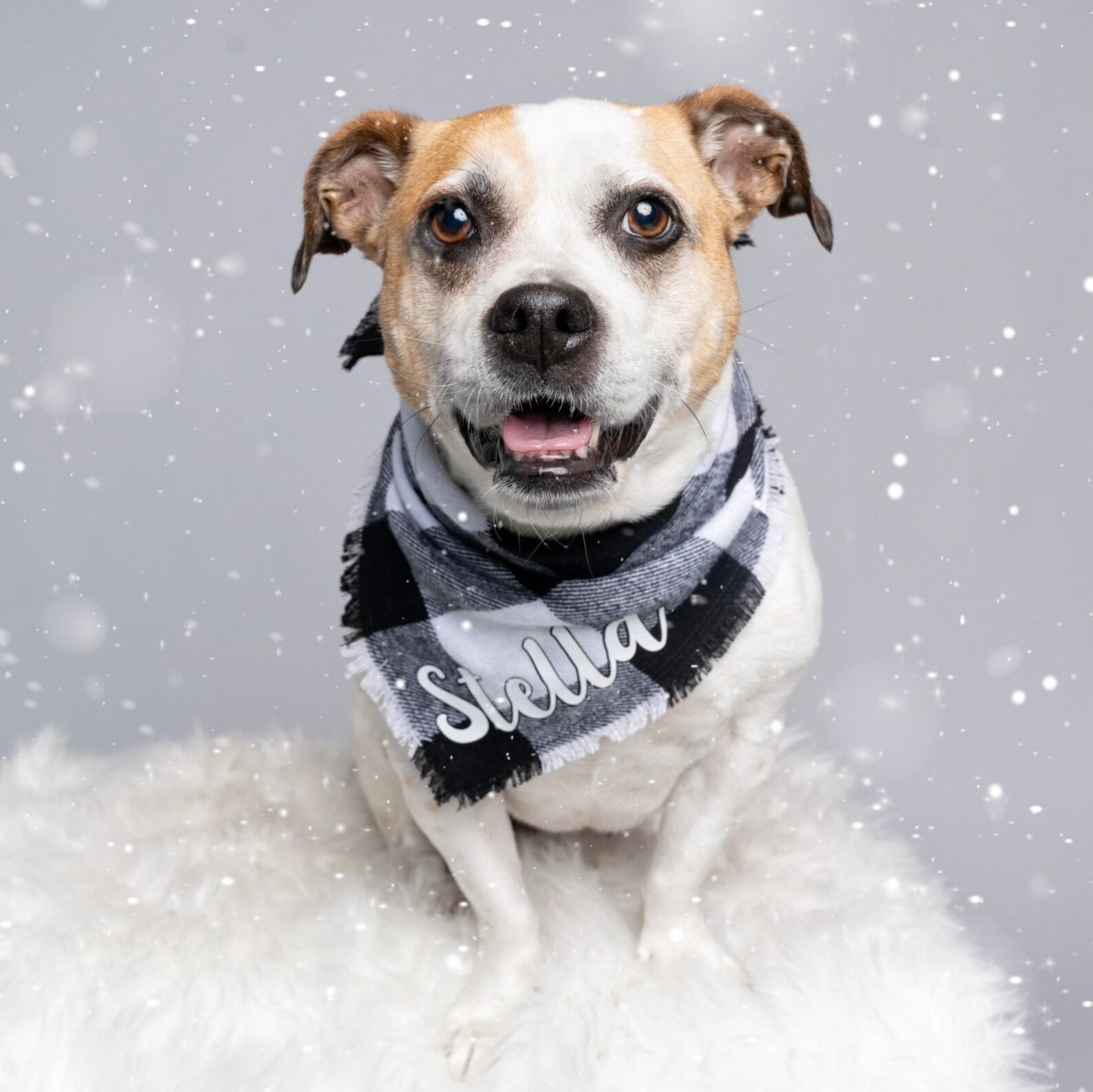 Matching Dog and Owner Personalized Buffalo Plaid Bandana and Etsy