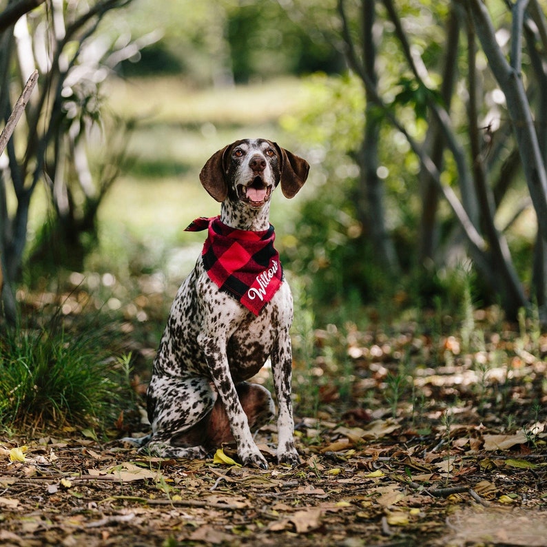 Matching Dog and Owner Personalized Buffalo Plaid Bandana and Etsy