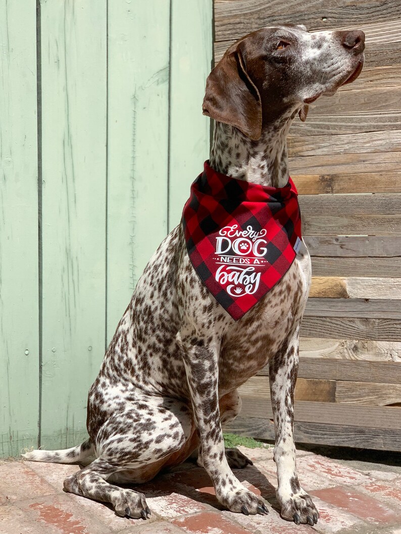 Every Dog Needs a Baby Dog Bandana Baby Announcement Dog Etsy