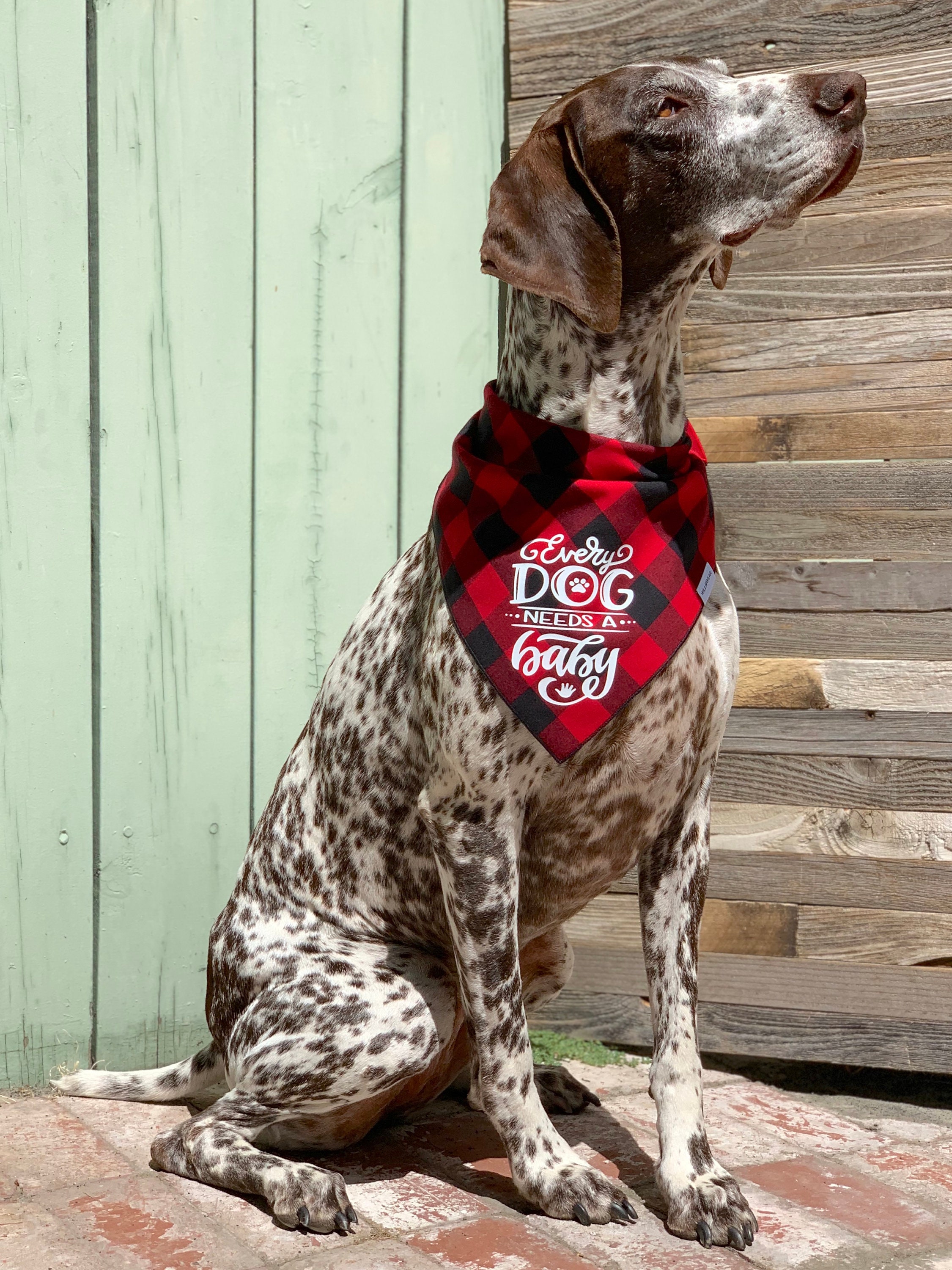 Every Dog Needs a Baby Dog Bandana Baby Announcement Dog Etsy