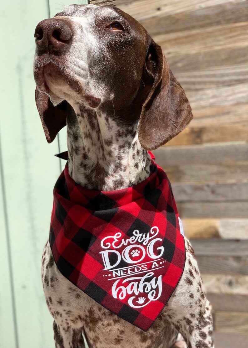 Every Dog Needs a Baby Dog Bandana Baby Announcement Dog Etsy