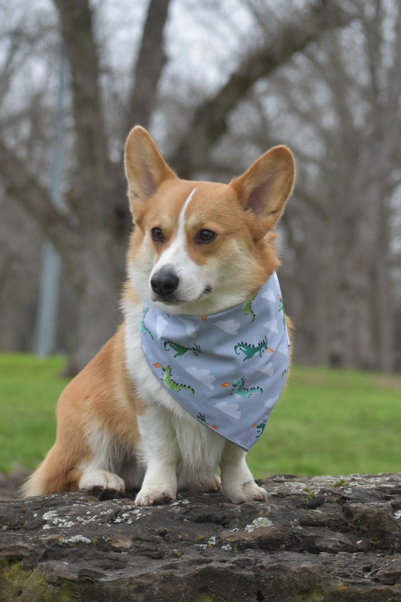Dragon Dog Bandana Flying Dragons Dog Bandana Dog Clothes Dog Scarf Dog Collar Spring Summer Dog Bandana New Puppy Dog Gift