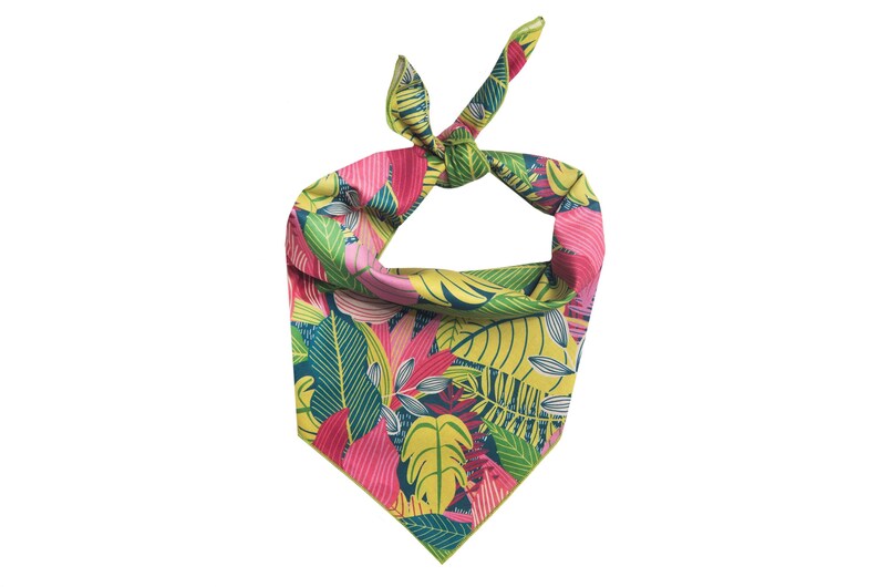 Tropical Dog Bandana Hawaiian Dog Bandana Spring Summer Dog Etsy