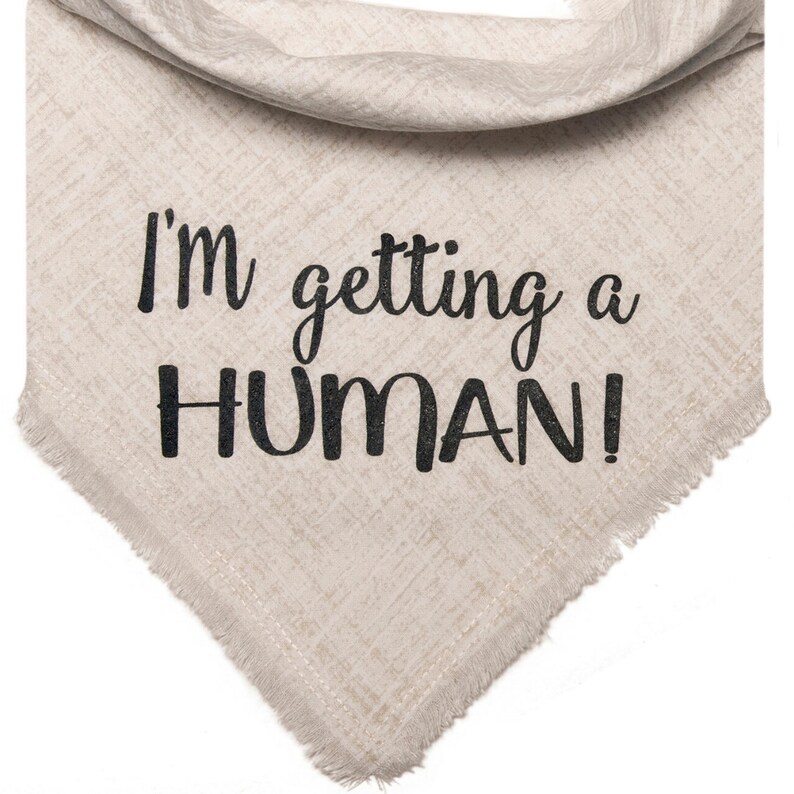 I'm Getting a Human Dog Bandana Pregnancy Announcement Etsy