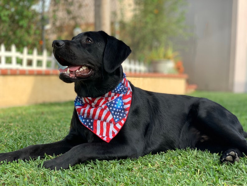 Patriotic Dog Bandana American Flag Dog Bandana Red White and Blue Dog Bandana Stars and Stripes Dog Bandana 4th of July Dog Bandana