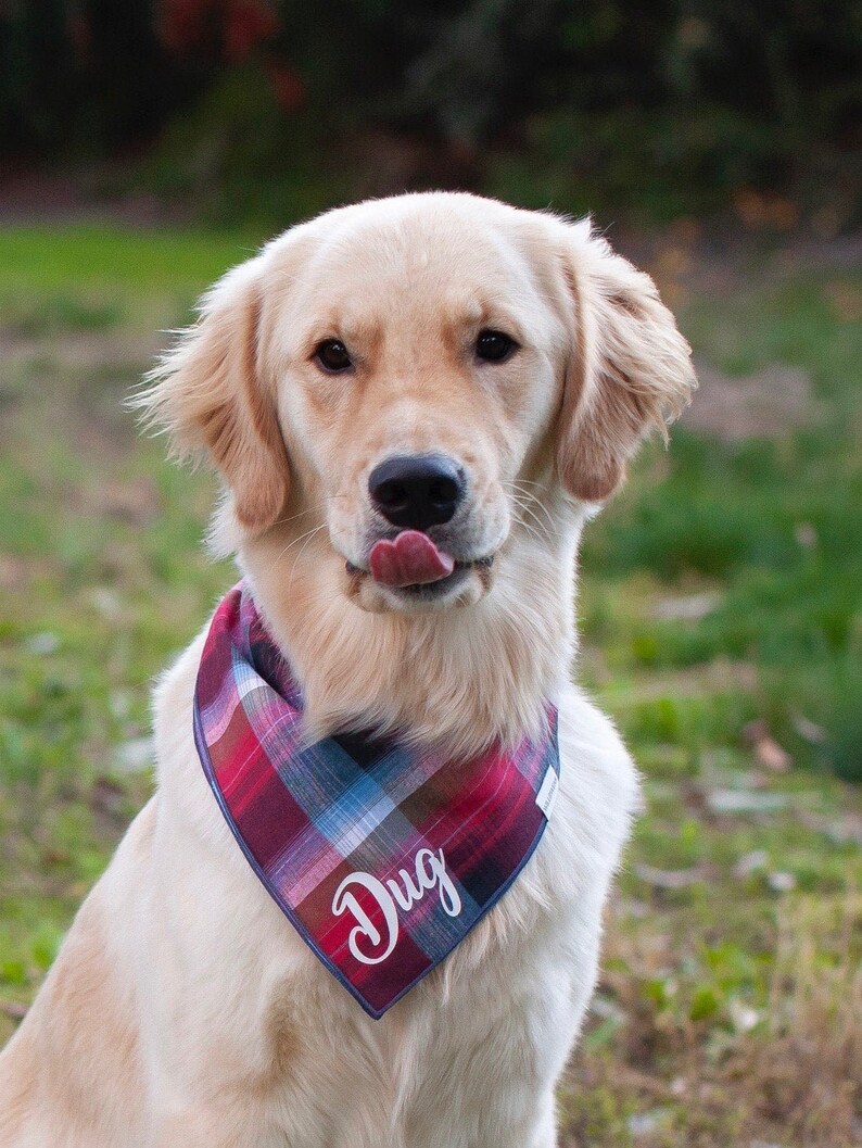 Owner Dog Matching Personalized Set Matching Dog and Owner Etsy