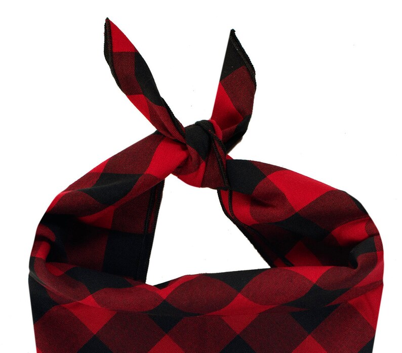 Big Sister Dog Bandana Baby Announcement Dog Bandana Gender Etsy