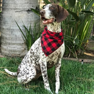 Red and Black Buffalo Plaid Dog Bandana, Red and Black Checked Pet Scarf, Dog Clothes, Gift New Puppy, Dog Mom Gift, Christmas Gift for Dog image 4