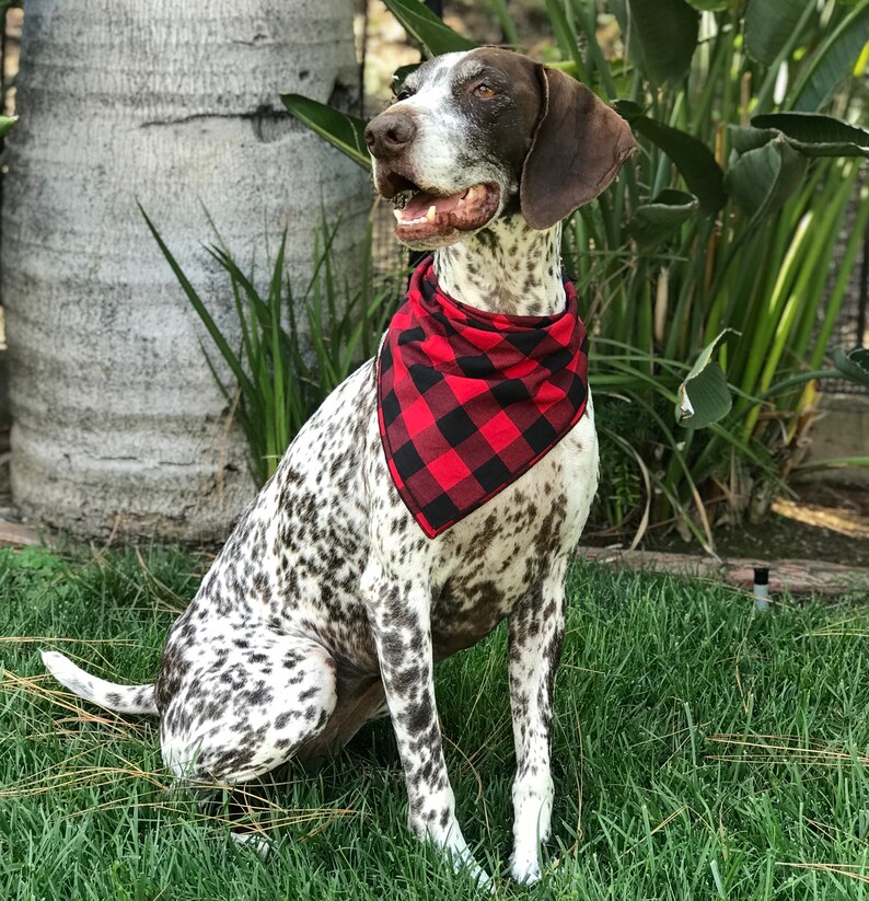 Red and Black Buffalo Plaid Dog Bandana, Red and Black Checked Pet Scarf, Dog Clothes, Gift New Puppy, Dog Mom Gift, Christmas Gift for Dog image 4