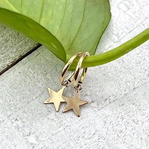 May include: Gold-coloured hoop earrings with star-shaped charms. The earrings are suspended from a green plant stem against a light grey and white background. The earrings have a simple, elegant design.