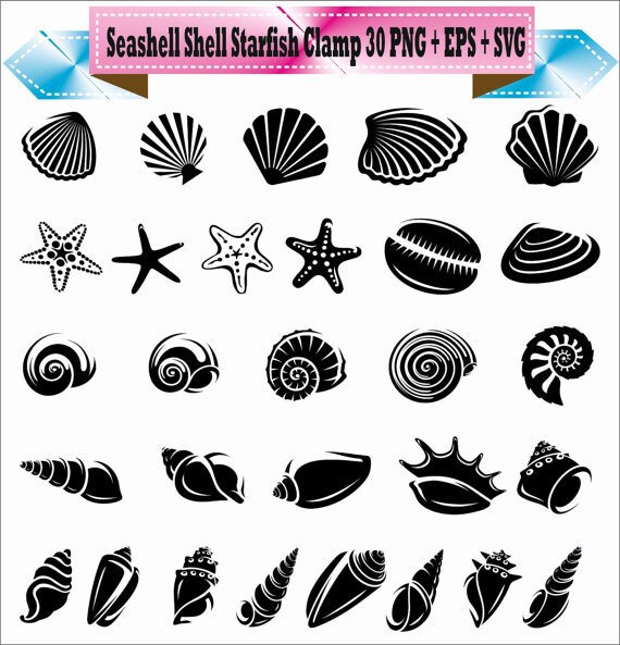 Download Sea Shell Shellfish Starfish Clam Mussel Silhouette Vector ...
