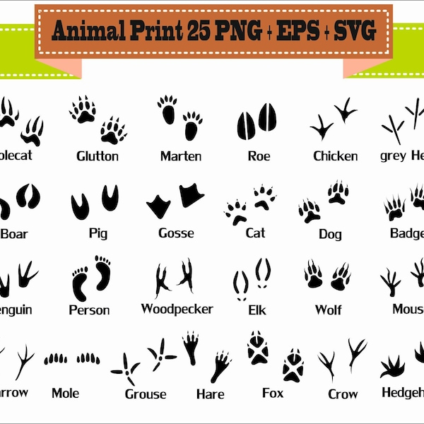 Impression pas Trace Аnimal chien sauvage chat Roe jeu Pack Silhouette vecteur Clipart PNG EPS fichiers numériques Scrapbook fournitures téléchargement immédiat