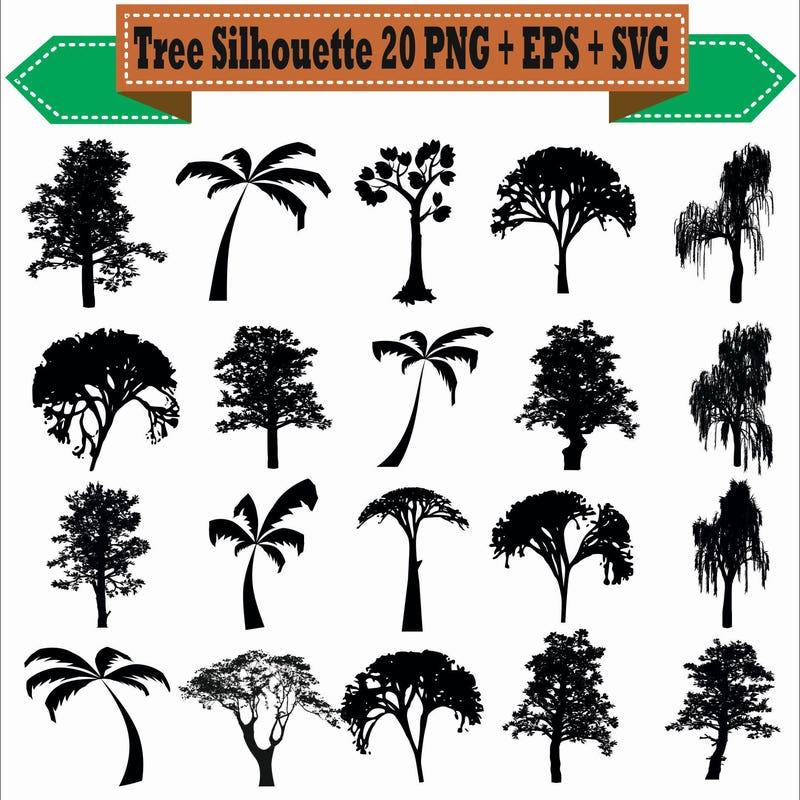 Tree Palm Bonsai Etsy New Zealand