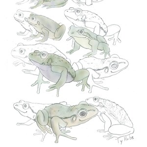 Frogs Tshirt