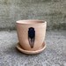 Cicada Tiny Planter