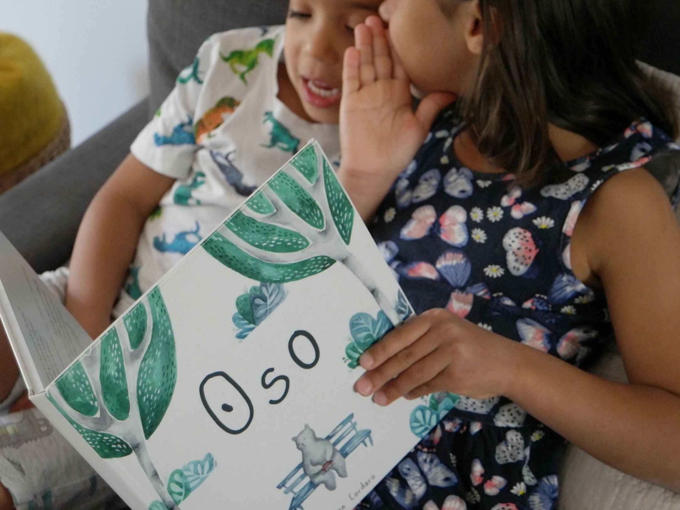 Oso - A Children's book about migration
