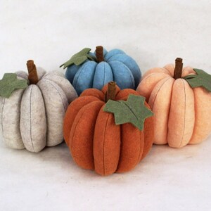 May include: Four felt pumpkins in different colors: gray, blue, orange, and peach. Each pumpkin has a green felt leaf on top.