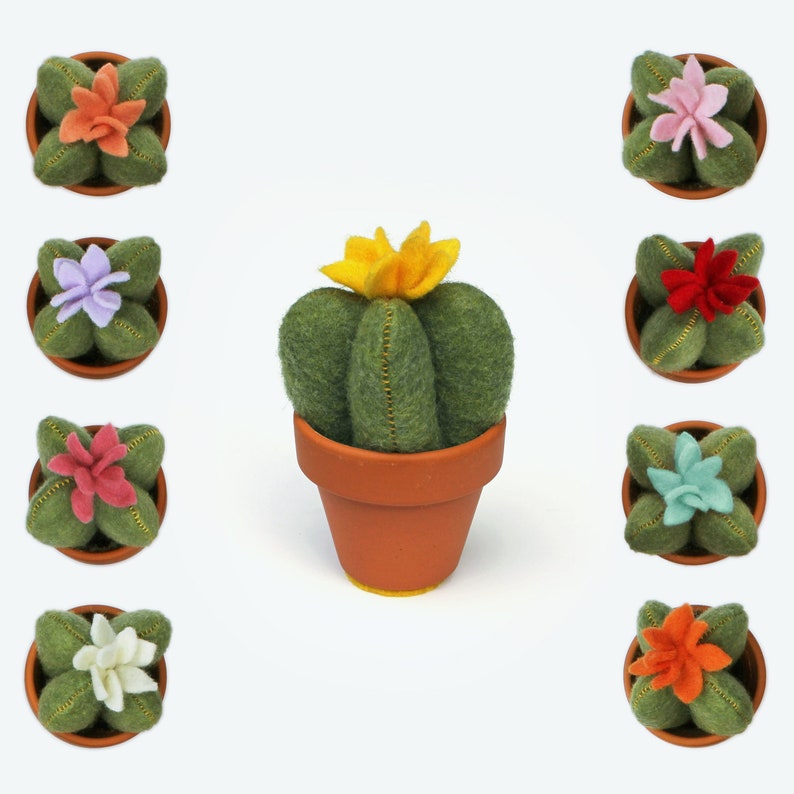 Vilt Cactus Mini Cute Fake Plant Decor Flower Color Opties Etsy