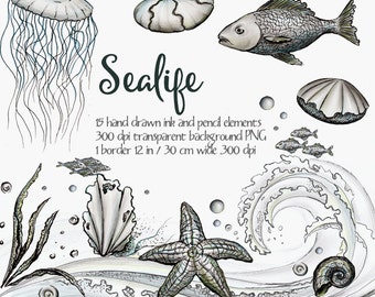 Digital clipart Sea life, ocean life clipart, ink clipart, black and white, hand painted clipart, fish, seashell, wave, sea strar, jellyfish
