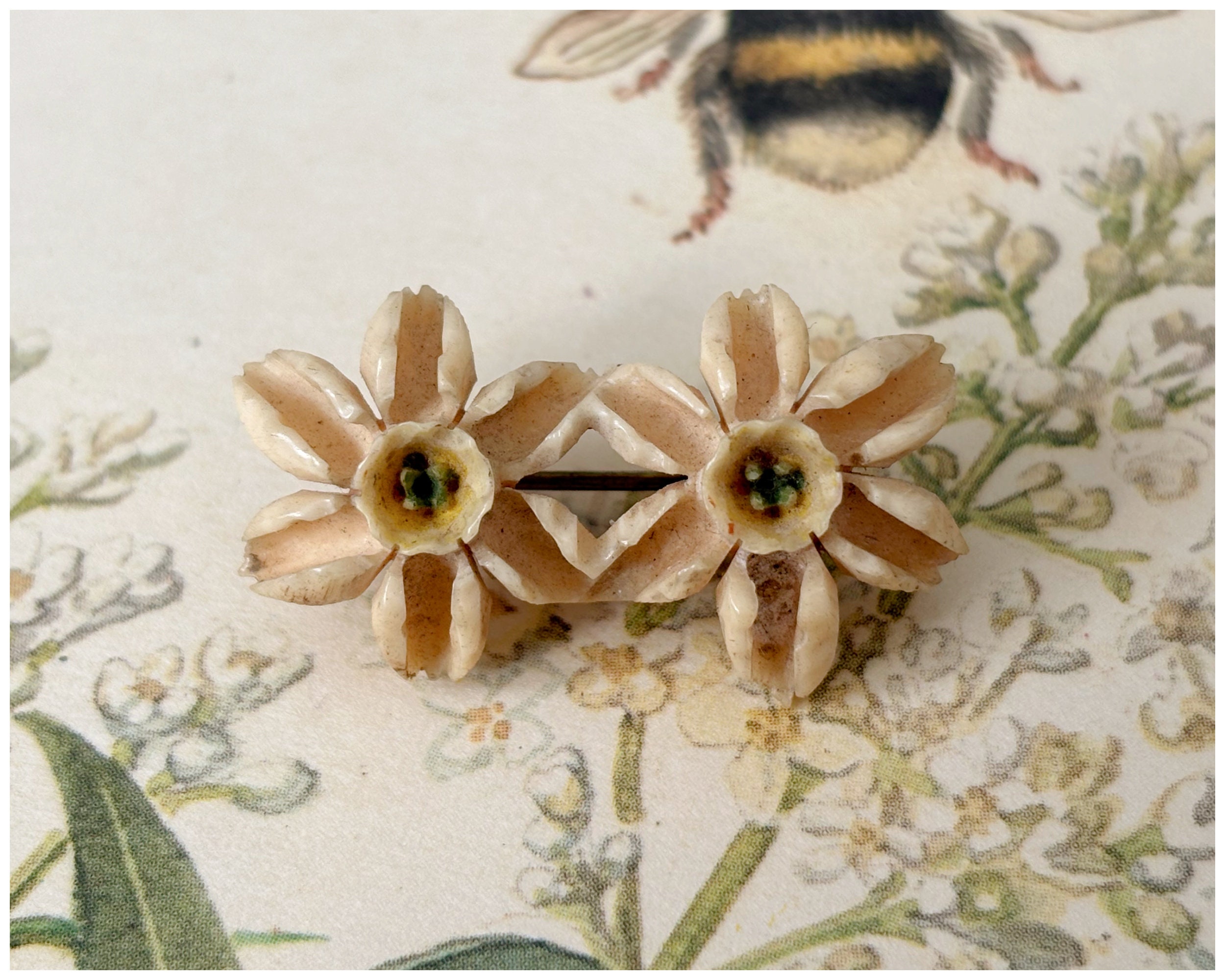 Broche Vintage En Os Sculpté Fleur D'edelweiss - Occasion - Bijou Ancien Montagne
