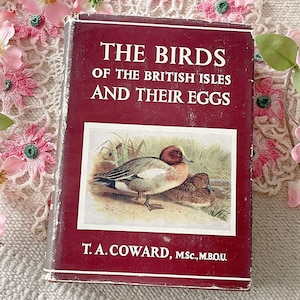 Vintage Book - The Birds of the British Isles and Their Eggs Series 2 by T.A.Howard