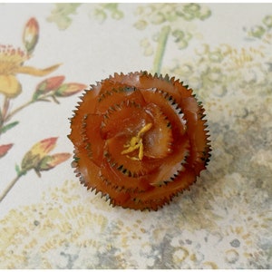 Vintage Bakelite Plastic Carved Rose Brooch Handpainted