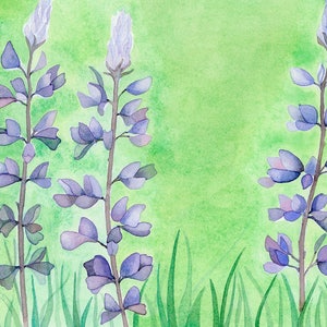 Bluebonnet Lupines Watercolor Greeting Card image 2